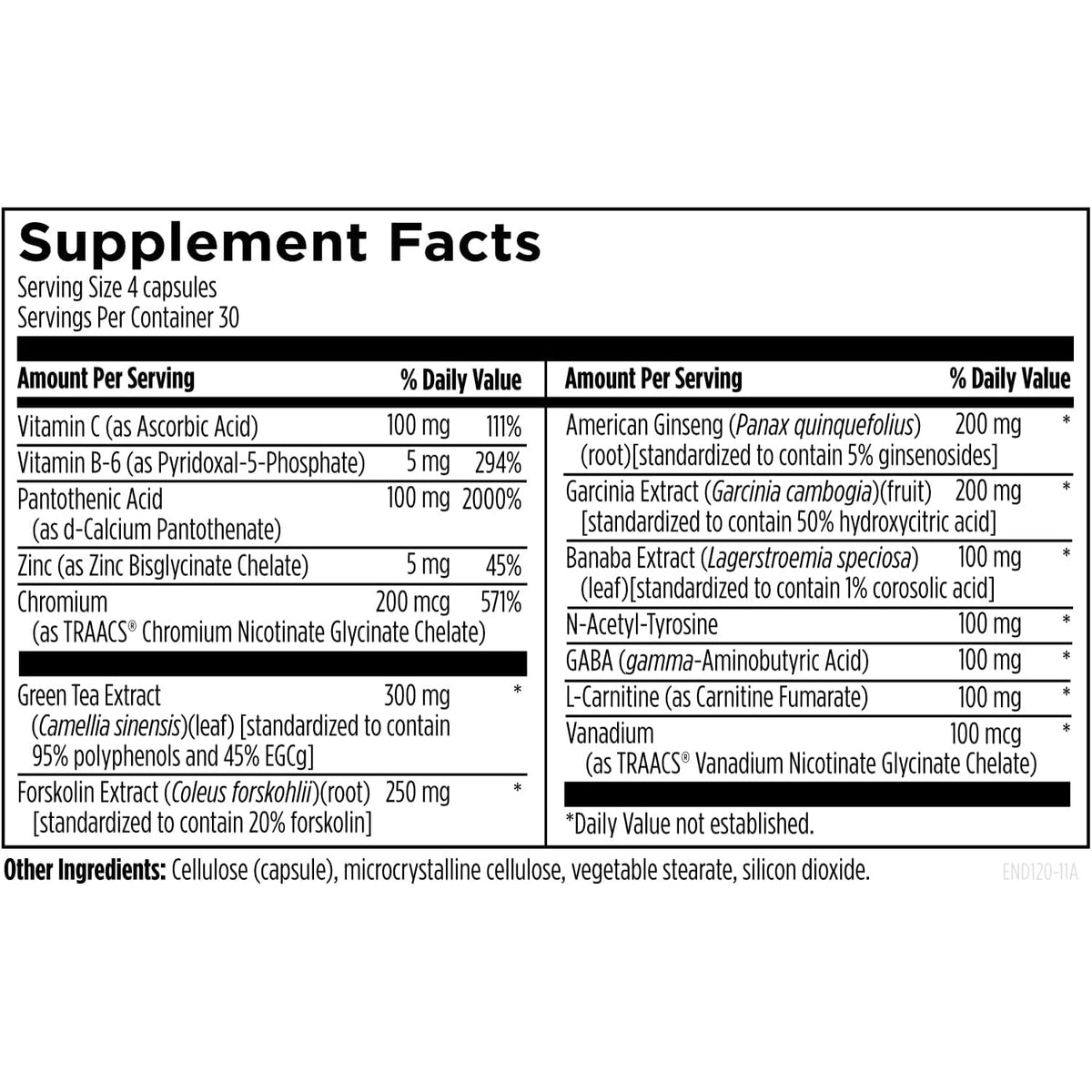 Designs for Health Endotrim - Green Tea Extract, Garcinia Cambogia, Coleus Forskohlii + L-Carnitine Supplement for Men + Women - Vegan (120 Capsules)