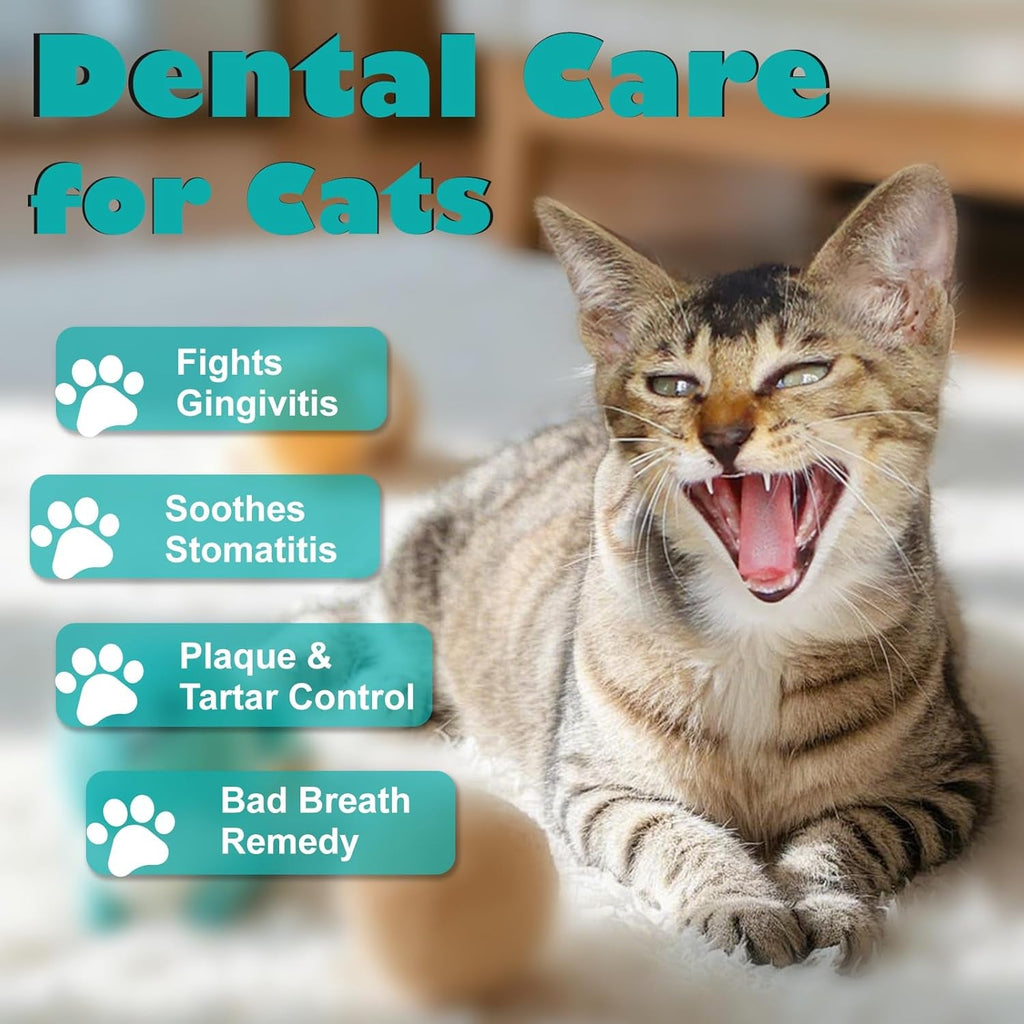 GHK Dog Dental Care