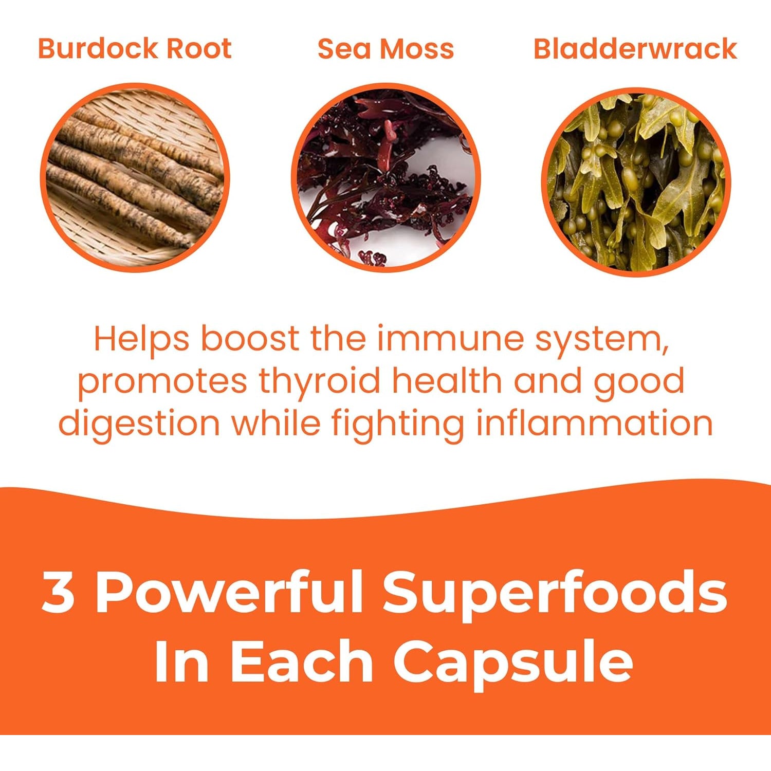 INFINITE AGE 1250Mg Sea Moss Advanced Superfood Capsules, 60 Count - High-Potency, Vegan, Made in the USA - Irish Seamoss, Bladderwrack, Burdock Root - Overall Health, Immunity Support