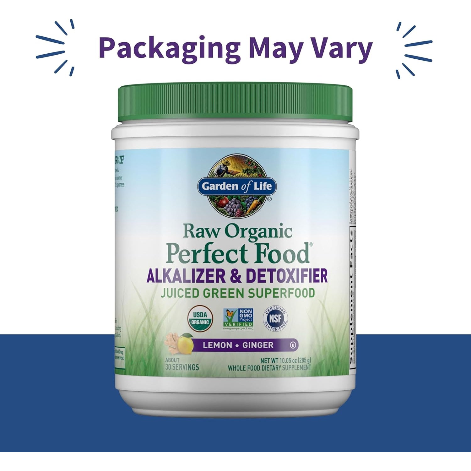 Garden of Life Raw Organic Perfect Food Alkalizer and Detoxifier, Lemon Ginger Flavored Superfood Powder Supplement, 30 Servings