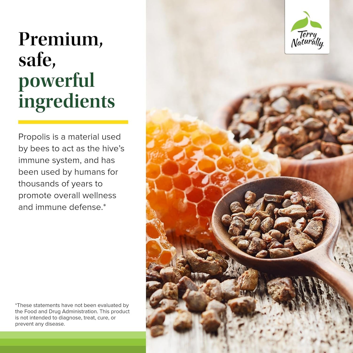 Terry Naturally Propolis Extract EP300 - Upper Respiratory & Immune System Support Supplement - Child & Adult Supplement with Bee Propolis Extract - 60 Capsules