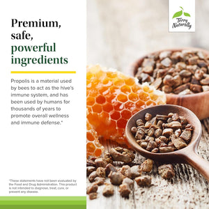 Terry Naturally Propolis Extract EP300 - Upper Respiratory & Immune System Support Supplement - Child & Adult Supplement with Bee Propolis Extract - 60 Capsules