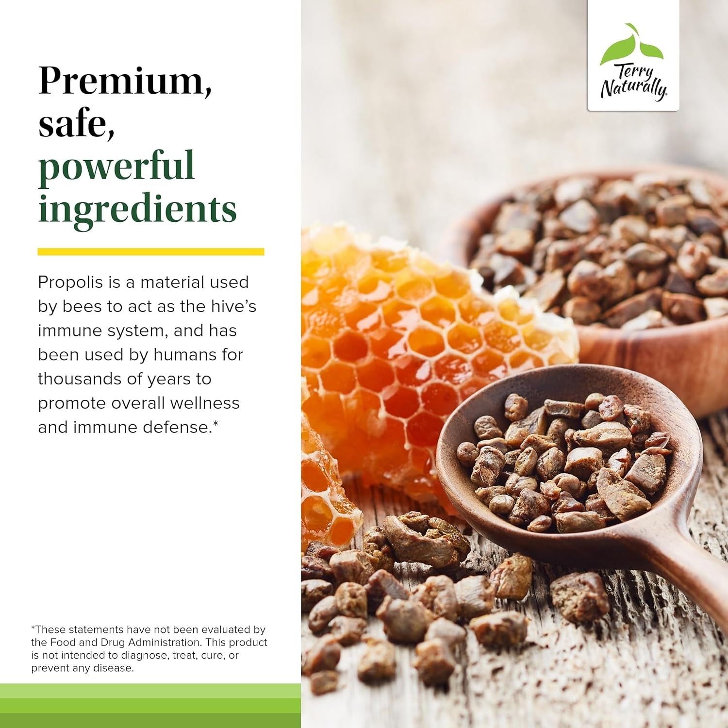 Terry Naturally Propolis Extract EP300 - Upper Respiratory & Immune System Support Supplement - Child & Adult Supplement with Bee Propolis Extract - 60 Capsules