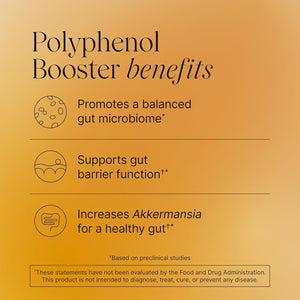 Pendulum Polyphenol Booster, Antioxidant from Superfoods, Beneficial Plant Compounds for Good Health, Helps Boost Akkermansia Muciniphila for Men & Women (60 Capsules, 1-Pack)