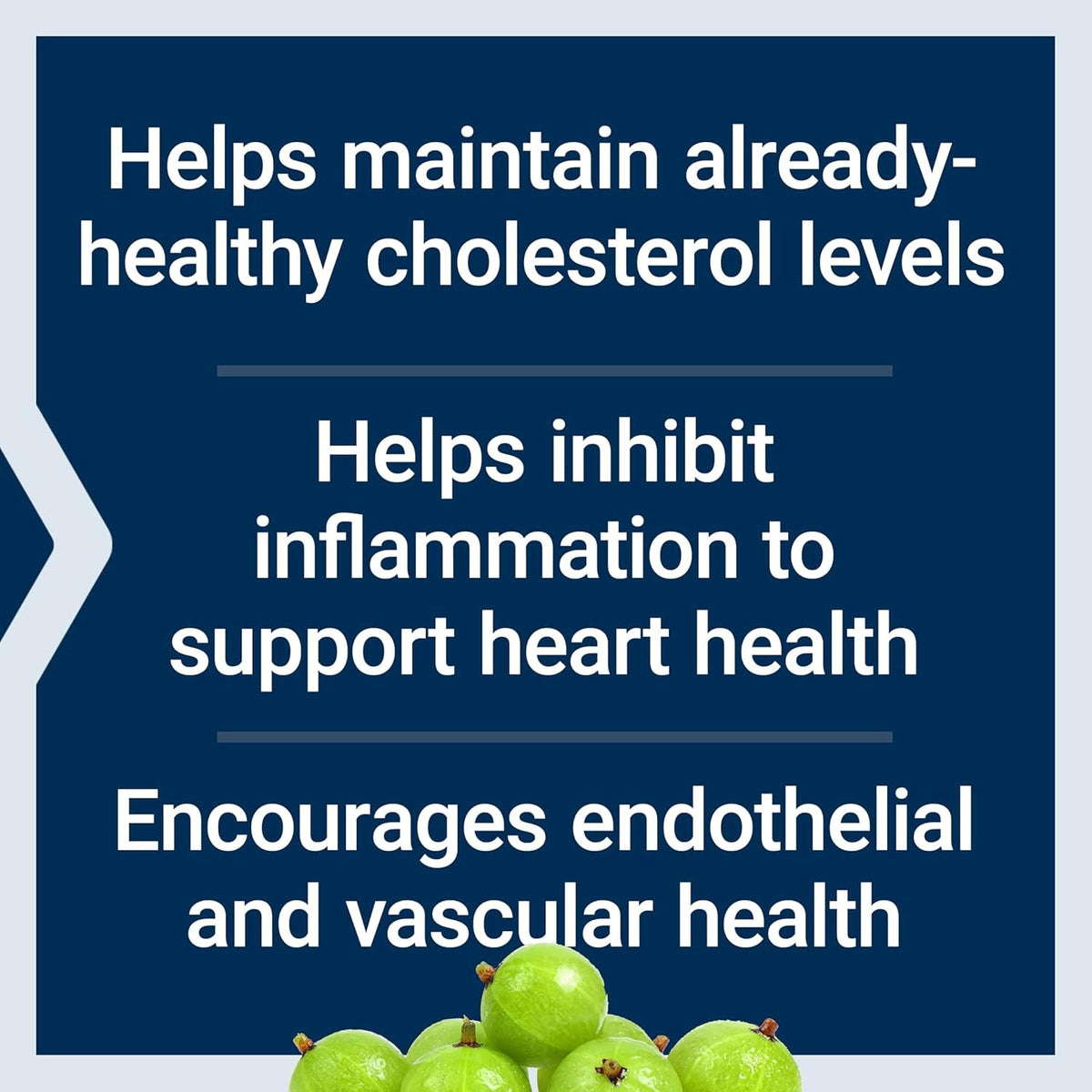 Life Extension Advanced Lipid Control, Amla Extract, Indian Gooseberry, Heart Health, Endothelial Health, Vegetarian, Gluten-Free, 60 Capsules