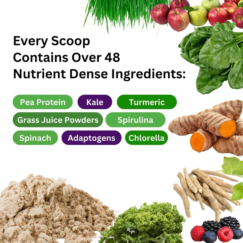 Paradise Herbs ORAC Energy Protein & Greens Powder, Antioxidant Power of 24 Servings of Fruits & Vegetables in 1 Scoop + 20G Protein, Unflavored, 15 Servings