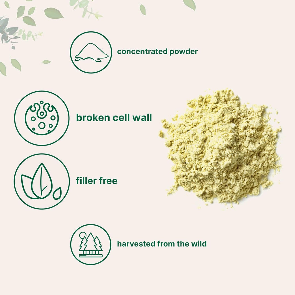 Pure Pine Pollen Powder, 6 Ounce, Wild Harvest an Broken Cell Wall, Supports Immune System Health, Boosts Energy, Antioxidant & Androgenic, No Gmos, Vegan Friendly