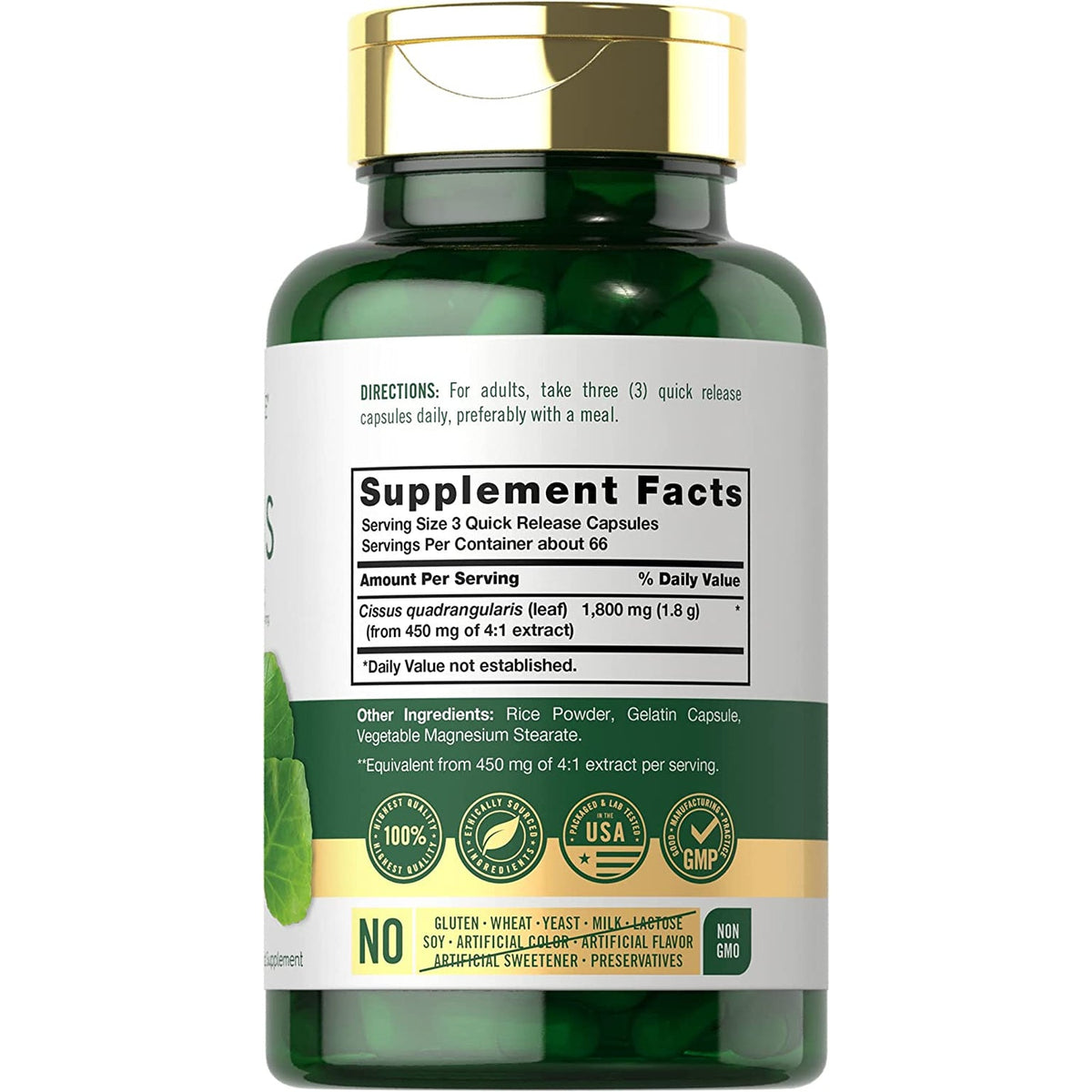 Carlyle Cissus Quadrangularis | 200 Capsules | Traditional Herb Extract Supplement | Non-Gmo and Gluten Free Formula