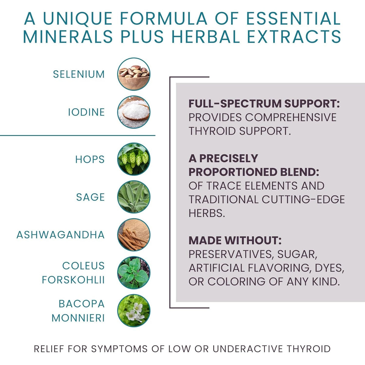 T-Balance Plus: Natural Thyroid Support for Women & Men with Underactive Thyroid - Thyroid Supplement with Iodine, Selenium, Ashwagandha & 5 Herbal Extracts - 60 Capsules (30 Days Supply)