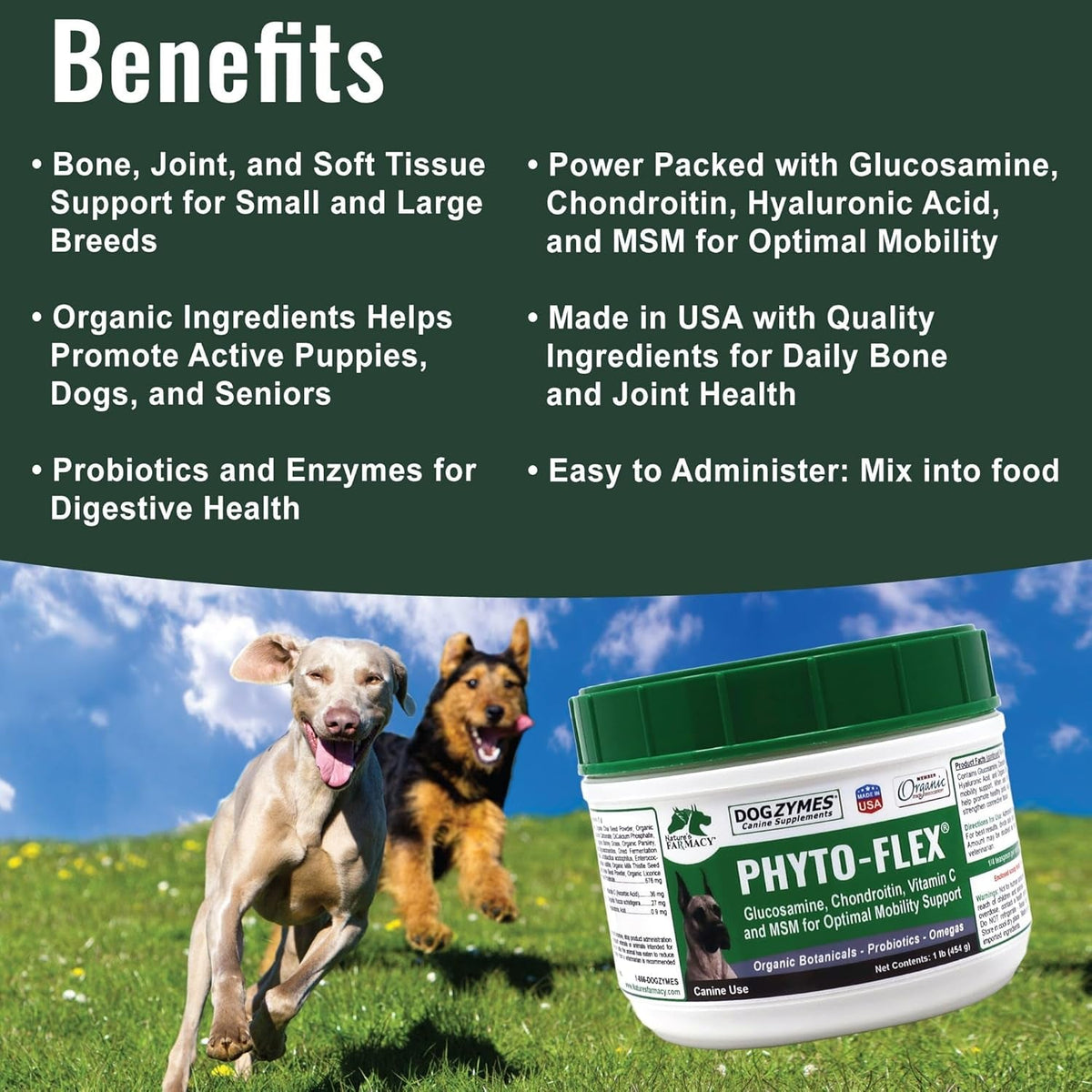 Dogzymes Phyto Flex - Glucosamine, Chondroitin, MSM and Hyaluronic Acid… (1 Pound)