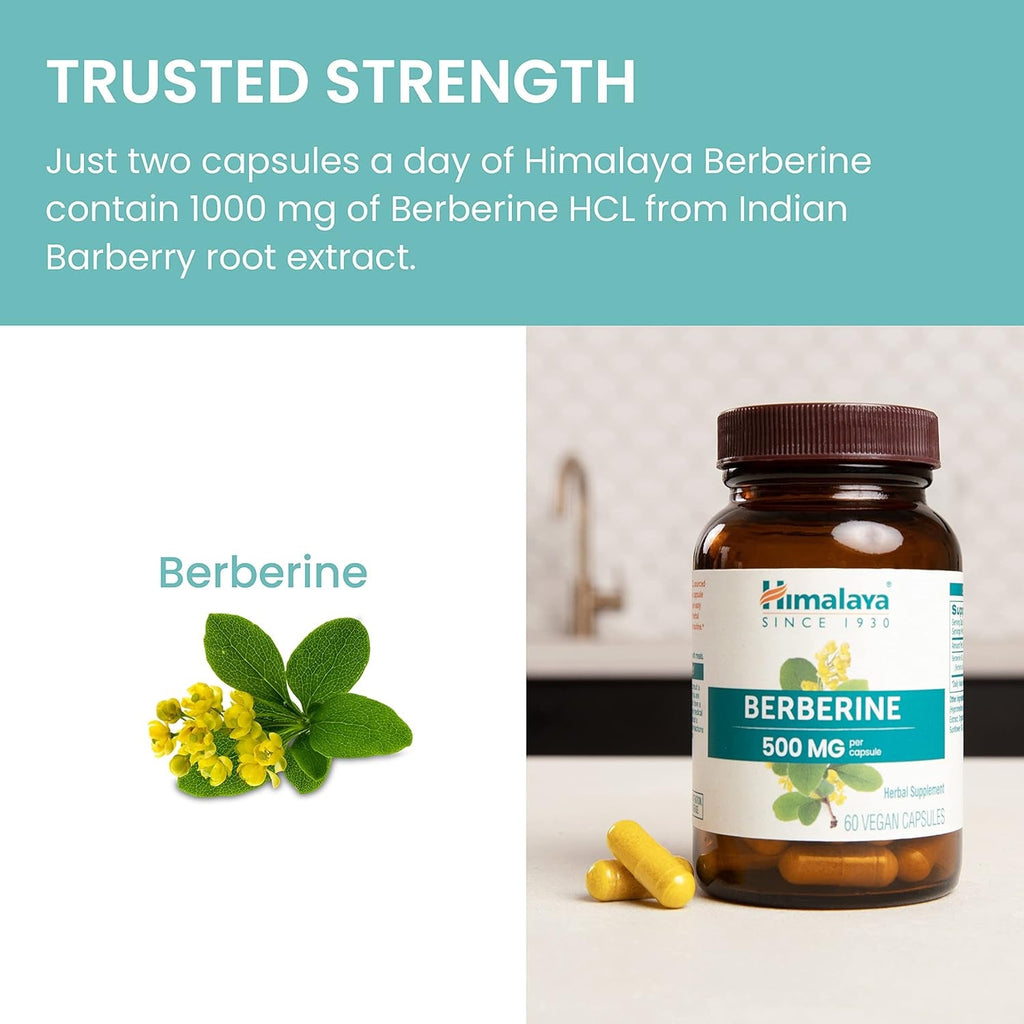 Himalaya Berberine - Herbal Supplement for Supporting Normal Metabolism, Immune, and Digestive Health - Vegan, Gluten Free, 500 Mg, 60 Vegetarian Capsules