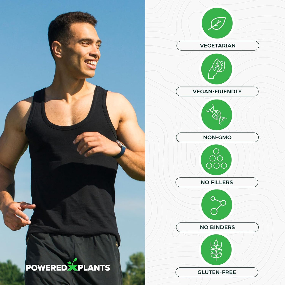 Insulin Plant Capsules - 3000Mg Costus Igneus Leaf Powder with No Binders, Fillers & Gluten - Vegan, Non GMO Supplements for Women & Men by Powered X Plants, 240 Capsules