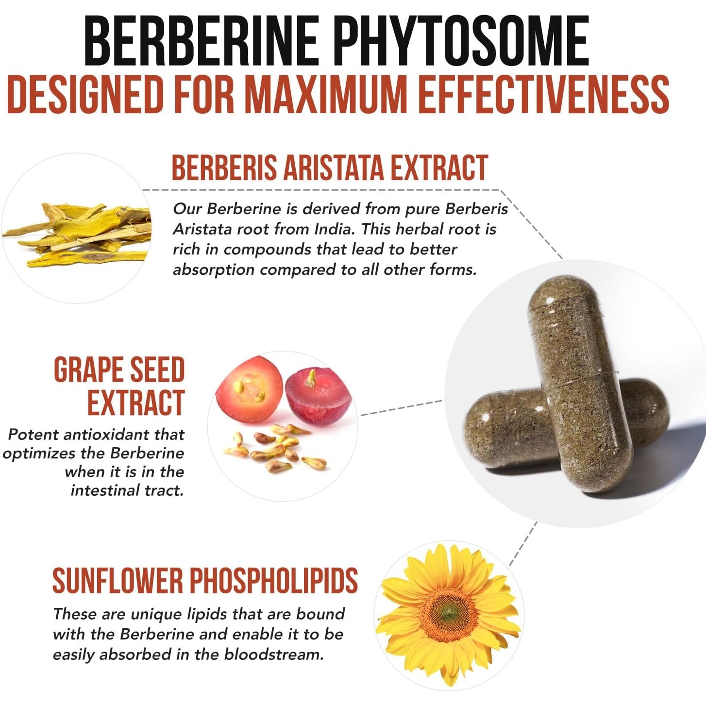 Soactive Berberine 550Mg: 9.6X Higher Absorption, Clinically Studied, Optimized Phytosome | Supports Metabolism & AMPK Activation | Non-Gmo, Soy-Free | Clinically Validated Dose | 60 Servings
