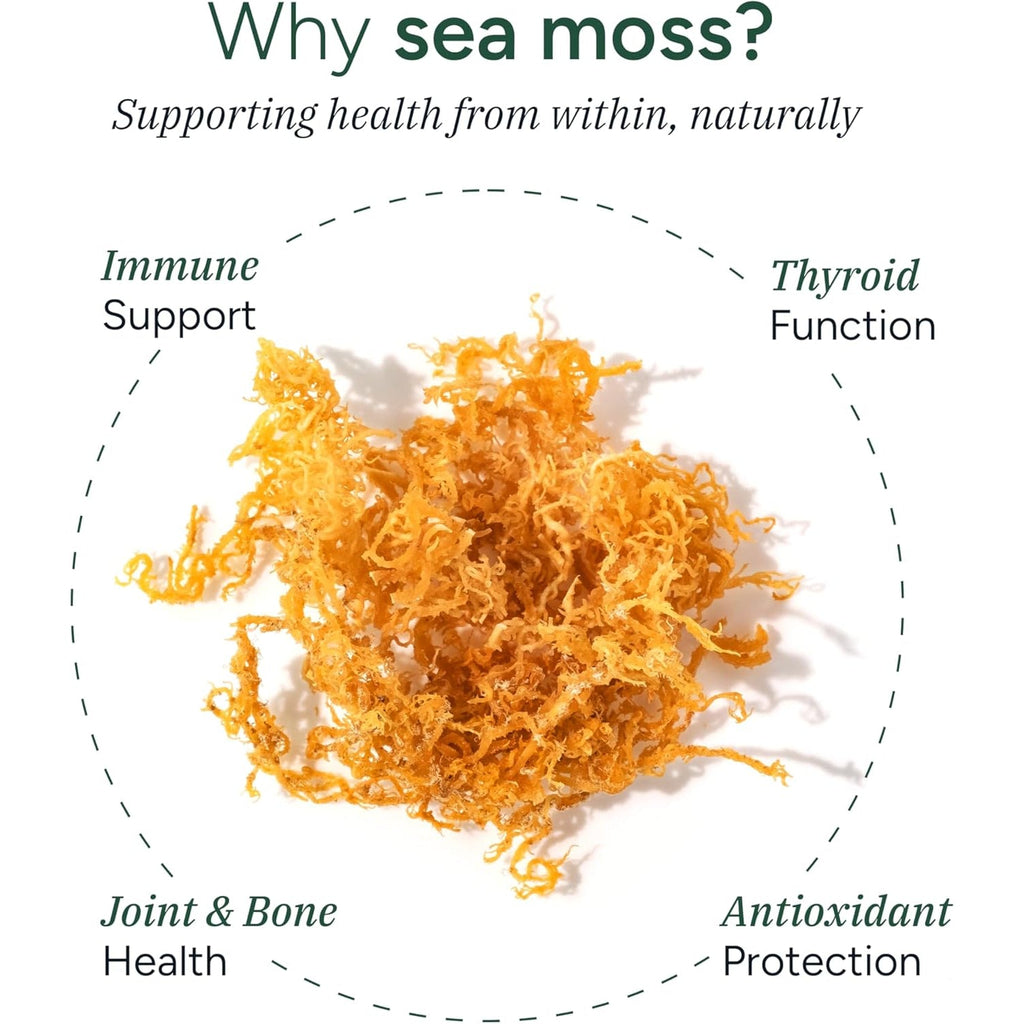 ROOT LABS Sea Moss Gummies I 92+ Minerals I Black Seed Oil I KSM 66 Ashwagandha I Lab Tested I No Added Sugar | for Men, Women I Non-Gmo I 100% Natural & Organic I 1600 Mg I 60 Gummy
