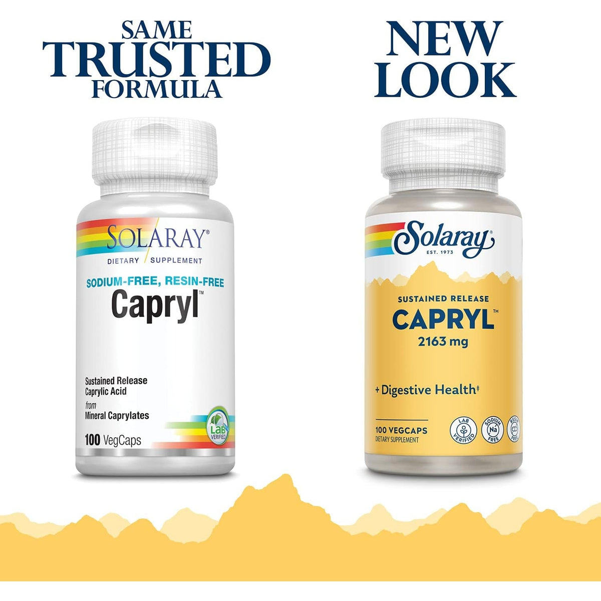 SOLARAY Capryl | Sustained Release Caprylic Acid | Healthy Gastrointestinal Tract Support | 16 Servings | 100 Vegcaps