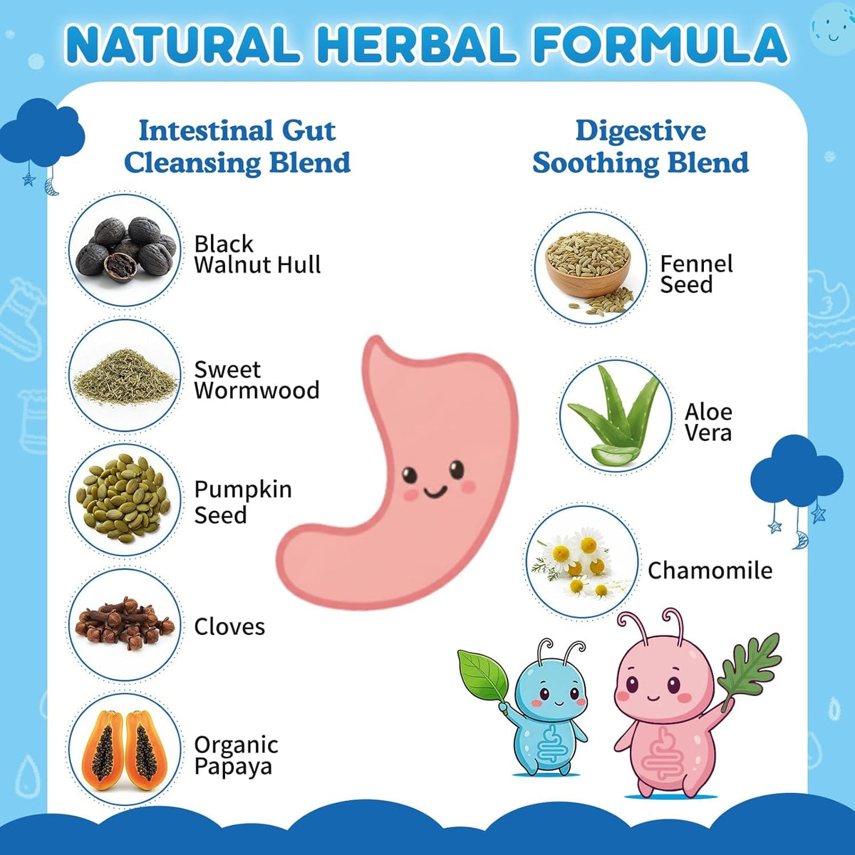 Wormwood Black Walnut Clove Para Clean for Humans & Kids, Herbal Gut Health Gummies with Wormwood, Pumpkin Seeds, Vitamin C, D3, Zinc, Probiotics for Natural Gut Cleanse, Immune Support - 60 Gummies