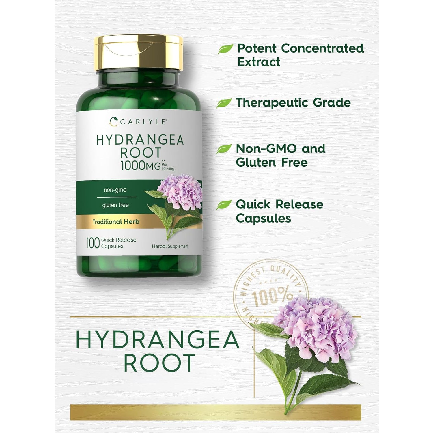 Carlyle Hydrangea Root Capsules | 100 Count | Non-Gmo, Gluten Free Extract