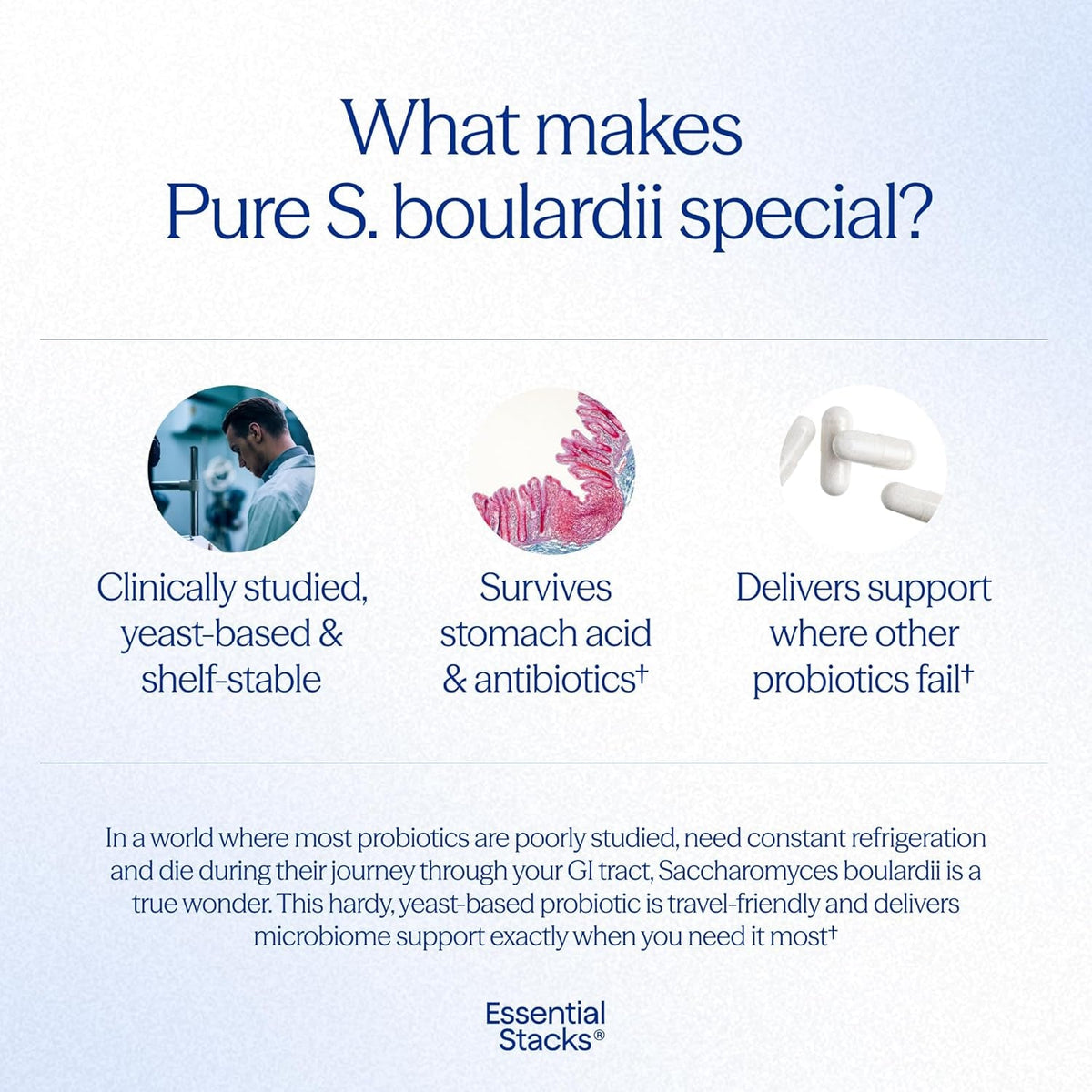 Essential Stacks Saccharomyces Boulardii Probiotics (Non-Gmo & Gluten Free) - 5 Billion Cfus for Gut Health (60 Capsules)