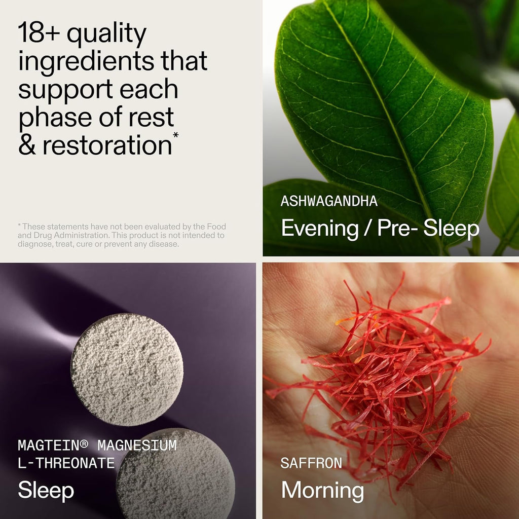 AG1 AGZ Sleep Drink – 30-Count Calming Sleep Aid Powder, Melatonin-Free Nighttime Blend with Magnesium, Ashwagandha, Saffron & Valerian – Herbal & Adaptogen Drink Mix (Chocolate Mint)