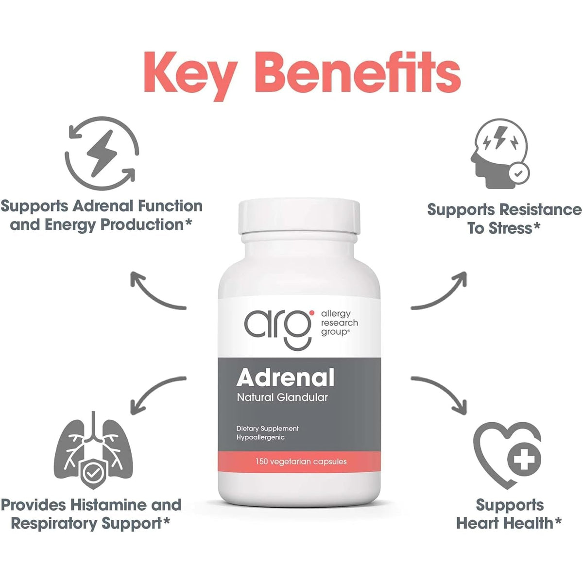 Allergy Research Group ARG Adrenal Cortex - Supports Healthy Stress Response & Metabolism - Delivers 150 Mg Freeze-Dried Bovine Adrenal Cortex Tissue - 100 Servings - 150 Capsules