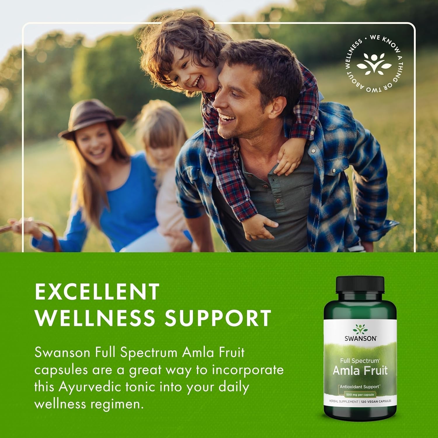 Swanson Full Spectrum Amla Fruit (Indian Gooseberry) Ayurvedic Energy Vitality Antioxidant 500 Milligrams 120 Capsules