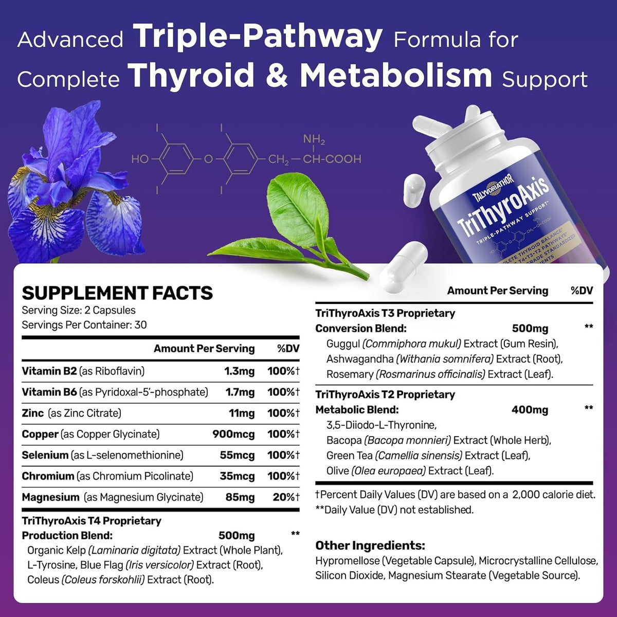 Thyroid Support Supplement for Women & Men – Professional T4, T3, T2 Triple-Pathway – Metabolism & Energy – with L-Tyrosine, Selenium, Ashwagandha & Guggul Extract – Standardized Herbs – 60 Capsules