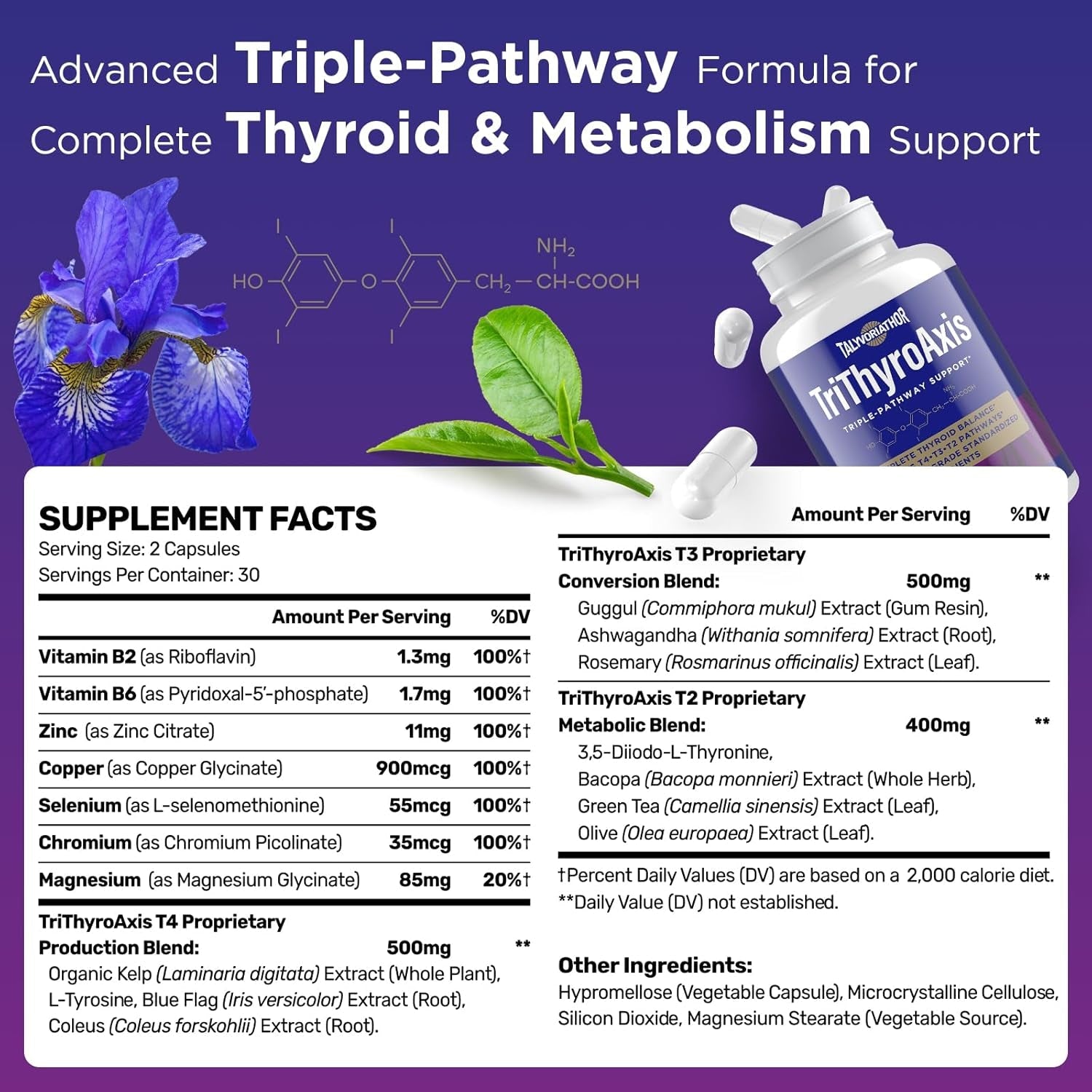Thyroid Support Supplement for Women & Men – Professional T4, T3, T2 Triple-Pathway – Metabolism & Energy – with L-Tyrosine, Selenium, Ashwagandha & Guggul Extract – Standardized Herbs – 60 Capsules