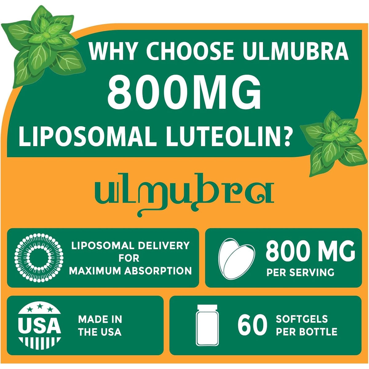 Ulmubra 800 MG Liposomal Luteolin Supplement - Maximum Absorption, Premium Antioxidant Supplement for Brain & Overall Well-Being, 60 Softgels - 30-Day Supply