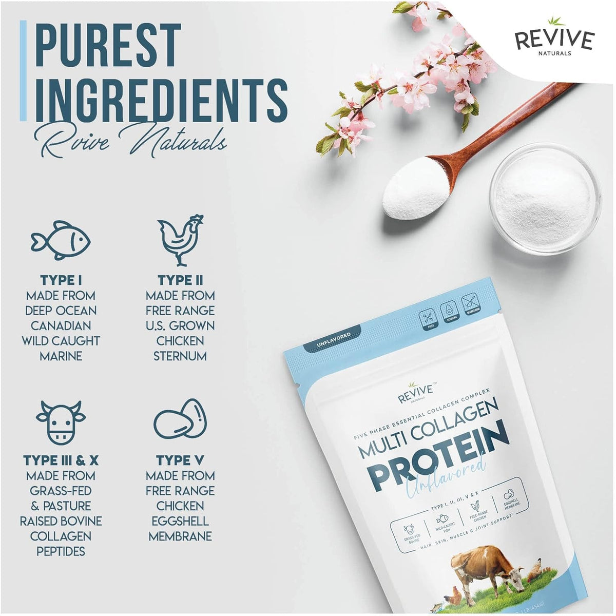Multi Collagen Hydrolyzed Protein Powder (16Oz) - Types I, II, III, V & X - Grass Fed Bovine (Peptan®), Wild Caught Marine, Free Roaming Chicken & Eggshell Collagen Peptides, Non-Gmo, GF.