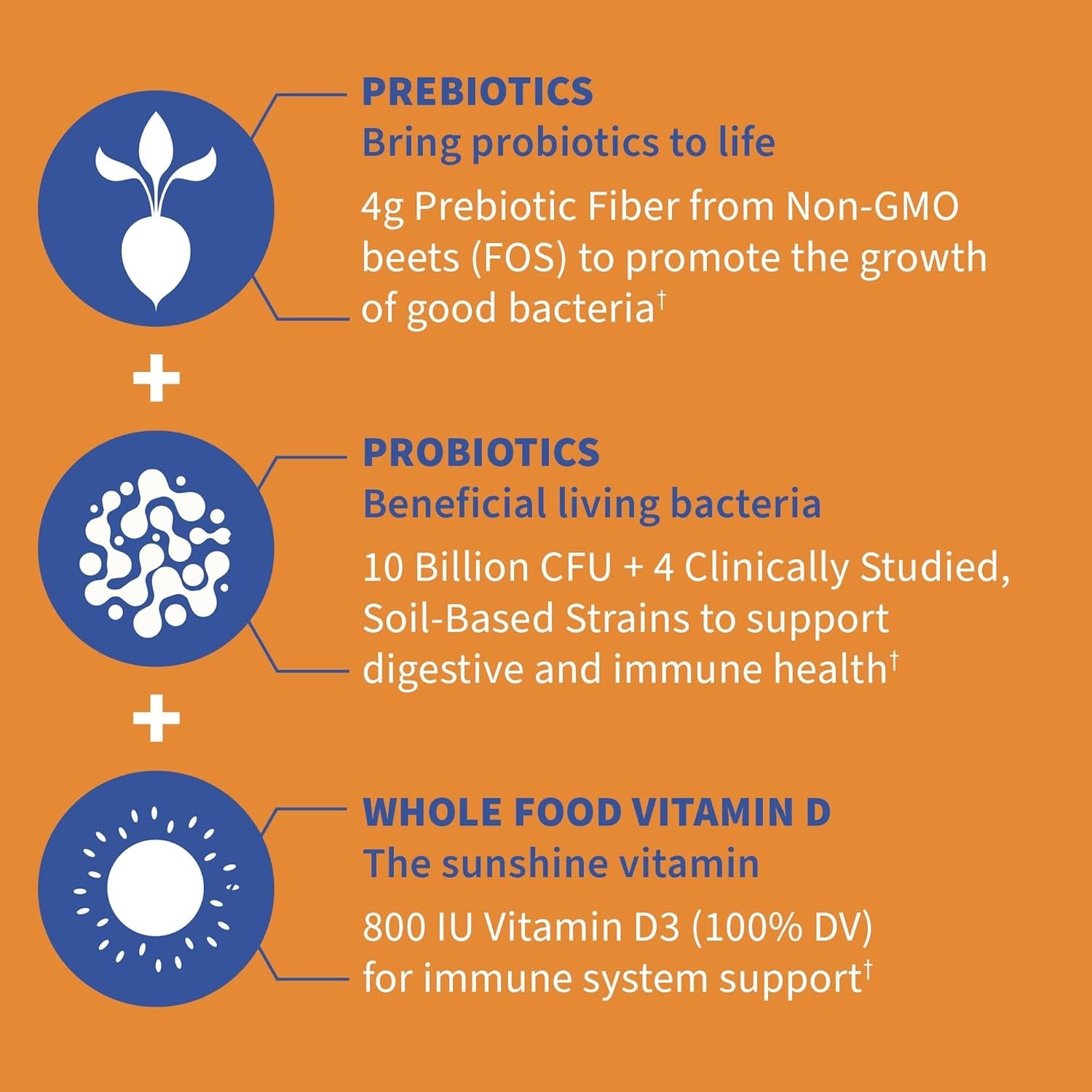 Garden of Life Dr Formulated 10 Billion CFU Prebiotic Fiber & Probiotic Gummies with Vitamin D3 for Digestive and Immune Health – Gluten Free, Non GMO, No Added Sugar, Orange Dream Flavor, 60 Gummies