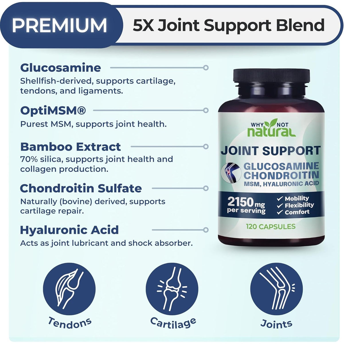 Why Not Natural Glucosamine Chondroitin, MSM, Joint Support Supplements - Knee Pain Joints Health Suppplement