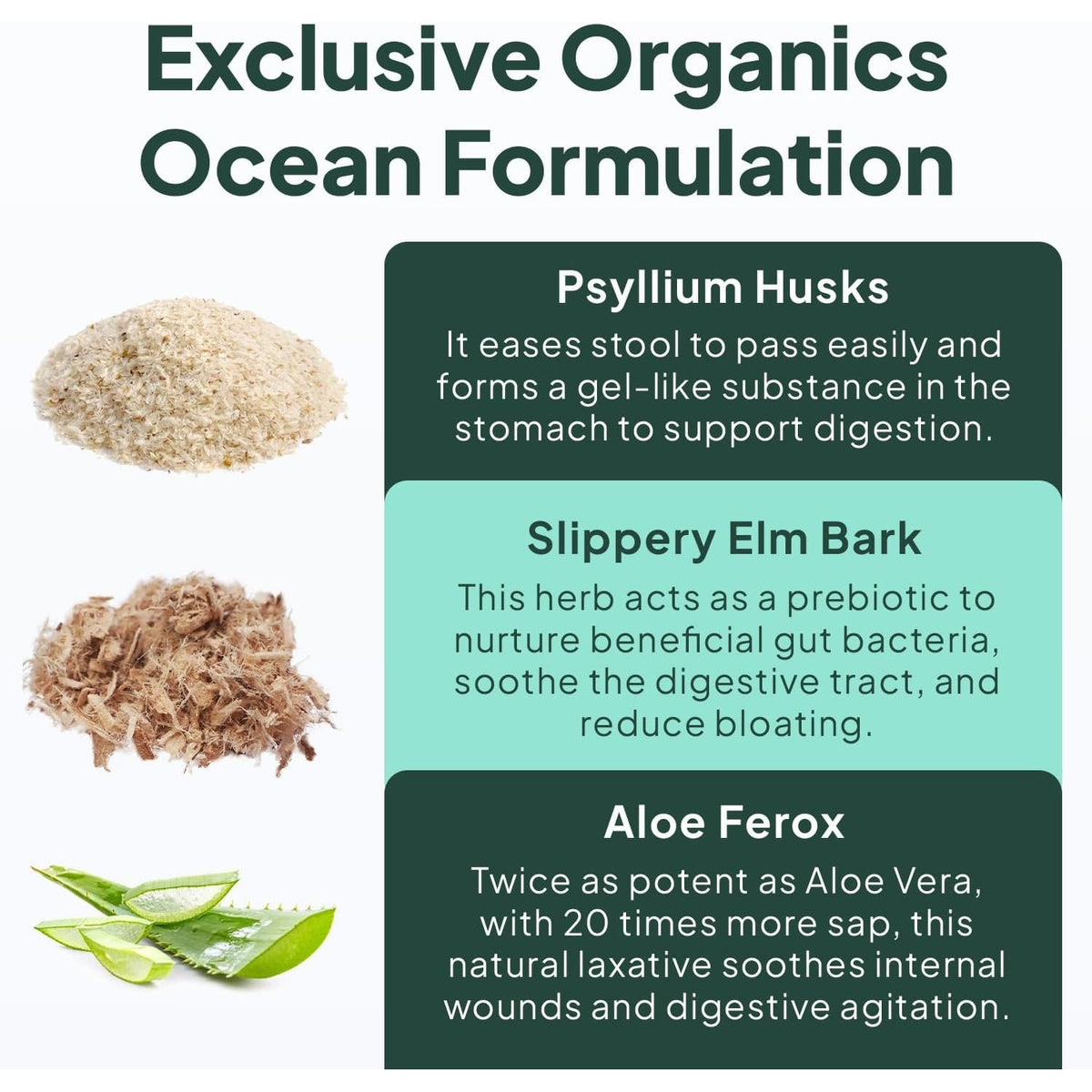 Organics Ocean Better Fiber - Daily Fiber Supplement - Soften Stool for Effortless Bowel Movements - with Psyllium Hulk and Slippery Elm - 90 Capsules