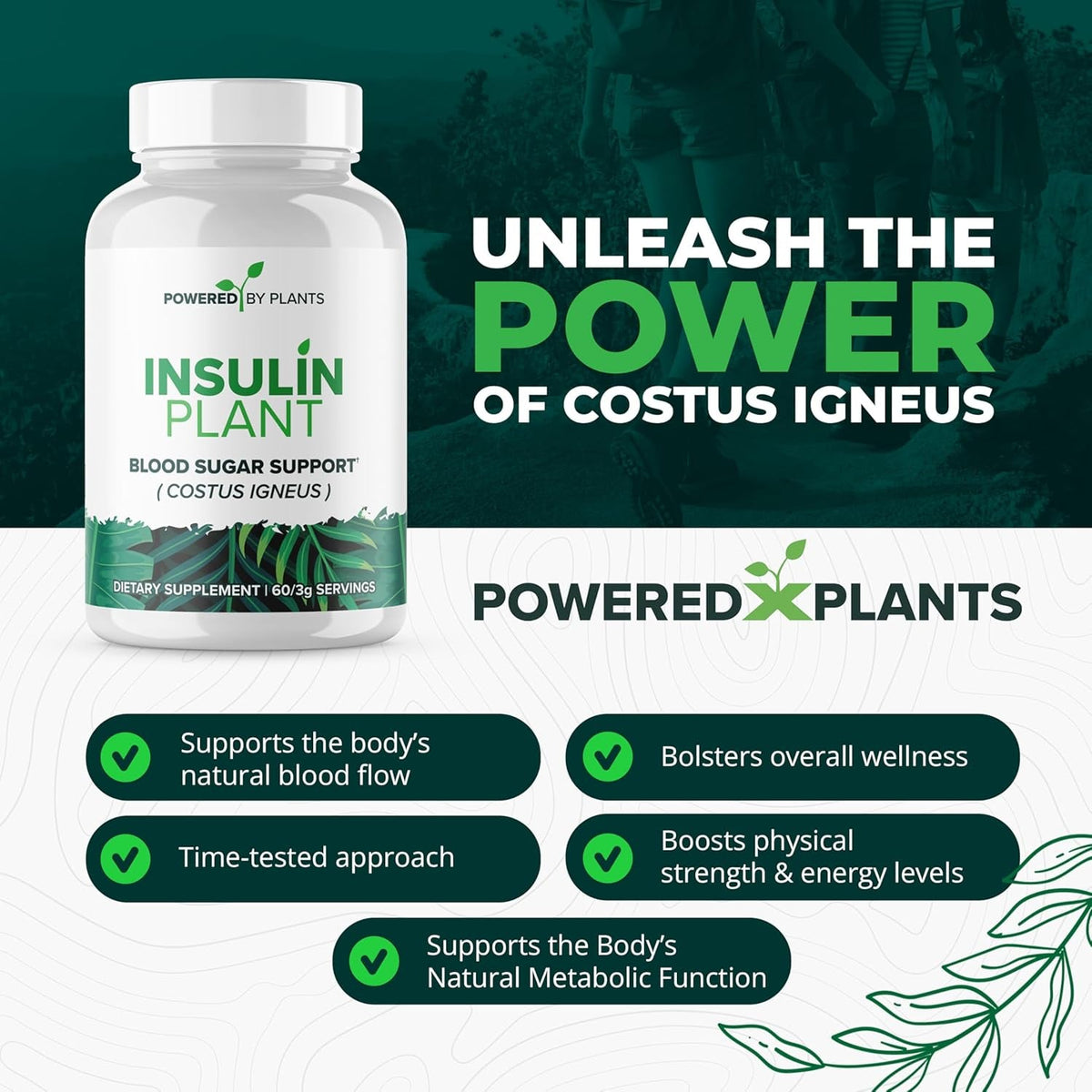 Insulin Plant Capsules - 3000Mg Costus Igneus Leaf Powder with No Binders, Fillers & Gluten - Vegan, Non GMO Supplements for Women & Men by Powered X Plants, 240 Capsules
