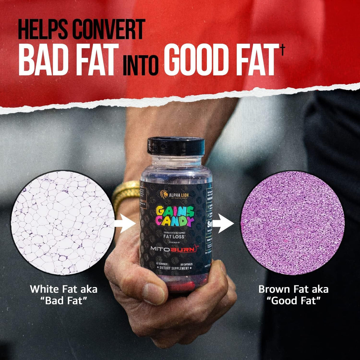 ALPHA LION Gains Candy, Supplement Pills That Support Weight Loss, Appetite Suppressant, Keto-Diet Friendly, Decrease Body Fat, Upgrade Energy & Workout Performance, 60 Capsules (Mitoburn®)