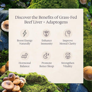 Grass Fed Beef Liver with Cordyceps, Reishi, Panax Ginseng & Rhodiola — Foundation 180 Capsules — Non-Gmo, No Fillers, Third Party Tested