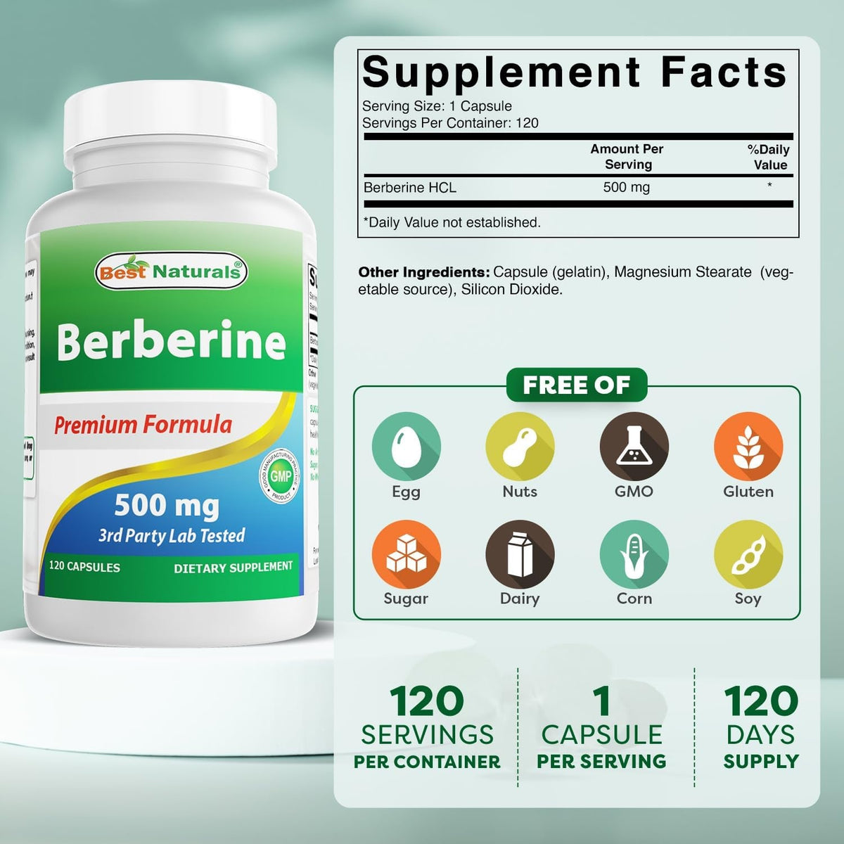Best Naturals Berberine 500Mg 120 Capsules - Supports Immune Function, Cardiovascular & Gastrointestinal Function (120 Count (Pack of 1))