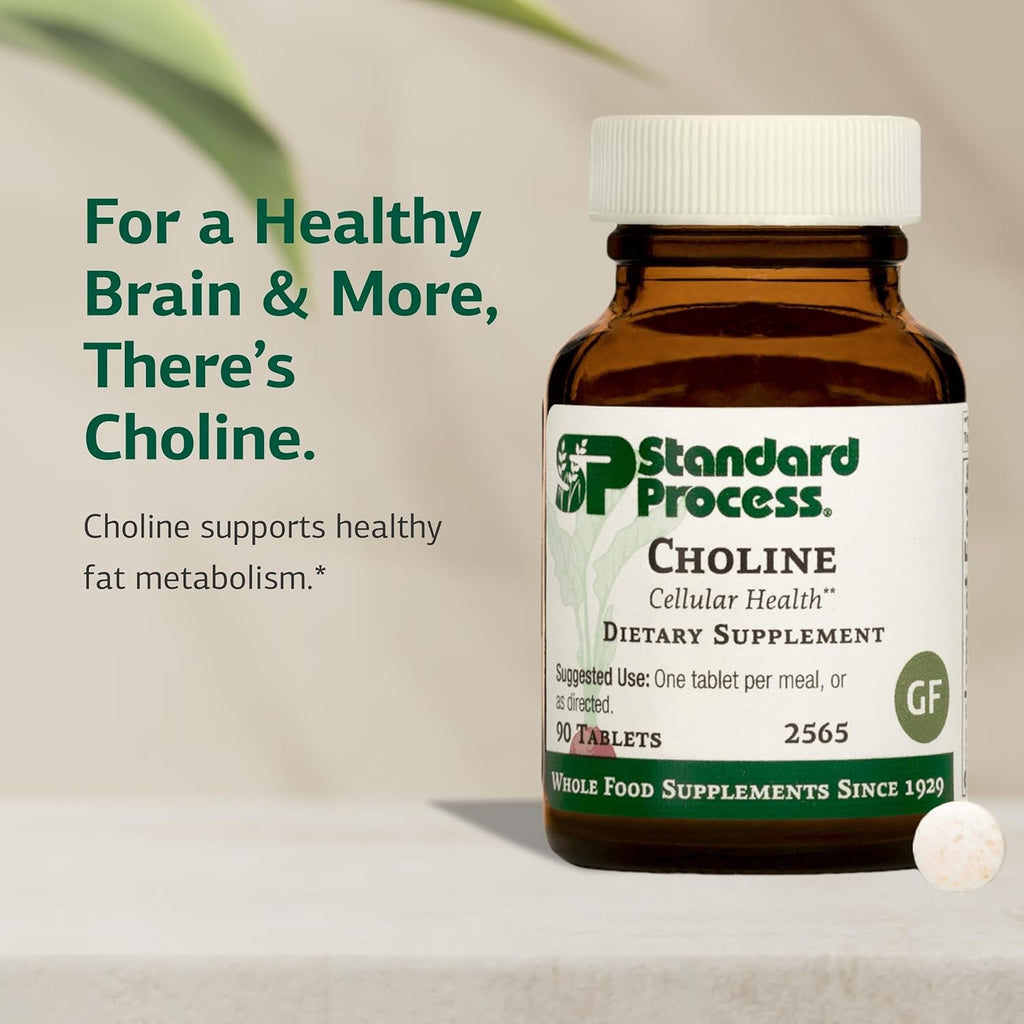 Standard Process Choline - Supports Healthy Fat Metabolism, Liver Health & Nervous System Function - Gluten-Free, Non-Dairy & Vegetarian -180 Mg, 90 Tablets