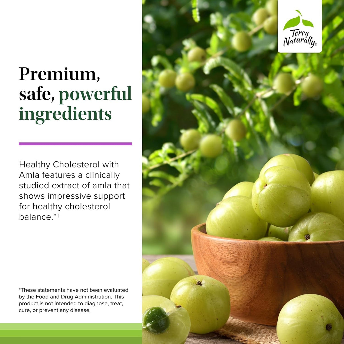 Terry Naturally Healthy Cholesterol with Amla - Supports Healthy Triglyceride Levels, Cardiovascular Health, Antioxidant - Non-Gmo, Gluten-Free, Kosher, 60 Count (Pack of 1)