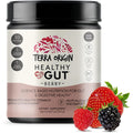 TERRA ORIGIN Healthy Gut Powder (Berry Flavor) |30-Servings with L-Glutamine, Zinc, Glucosamine, Slippery Elm Bark, Marshmallow Root and More!