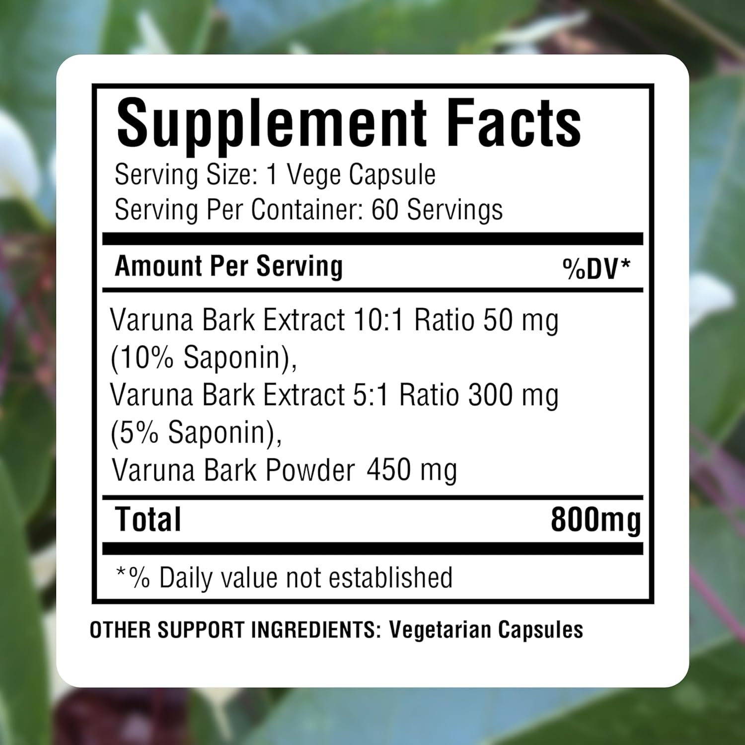 Herbsforever Varuna Nurvala Extract Capsules - Vegan & Gluten Free | Plant Based Supplement for Bladder & Kidney Function, 800 Mg per Capsules (60 Nos)