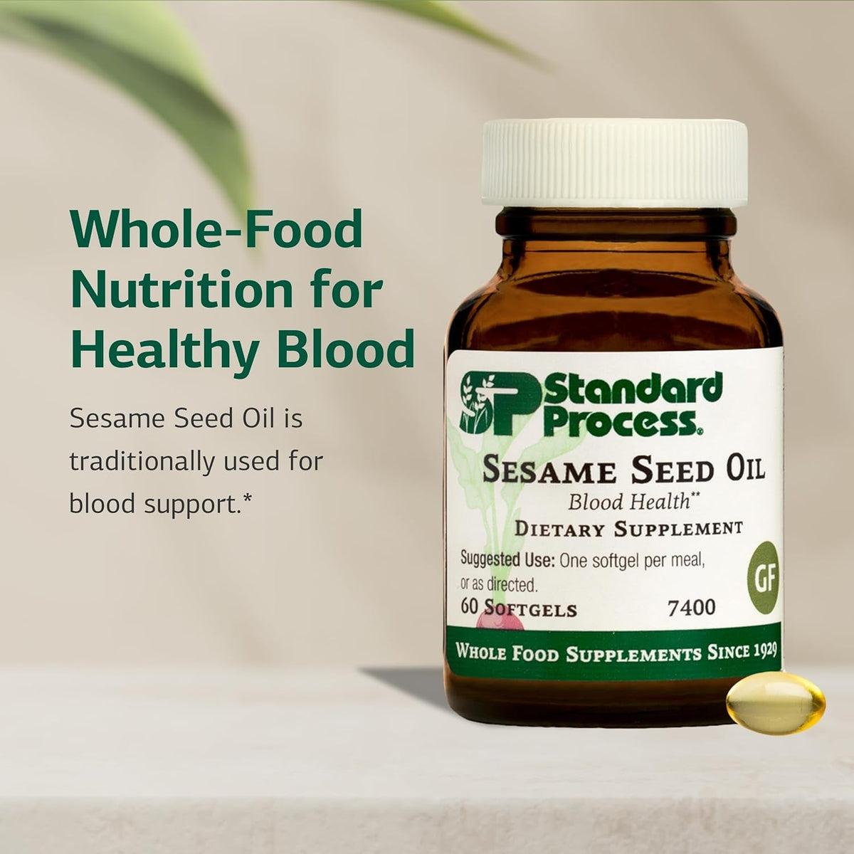 Standard Process Sesame Seed Oil - Blood Health Support Supplement - Formula Aids Healthy Immune System Response & Function - Support Healthy Liver Function - 60 Softgels