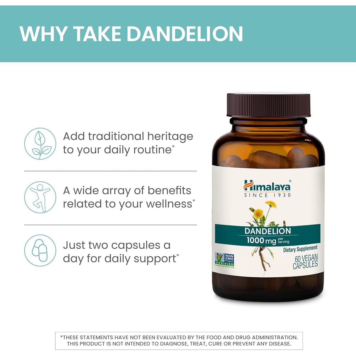 Himalaya Dandelion - Dandelion Root Supplement Supporting Daily Wellness and Health - Vegan, Gluten Free, 1000 Mg, 60 Capsules