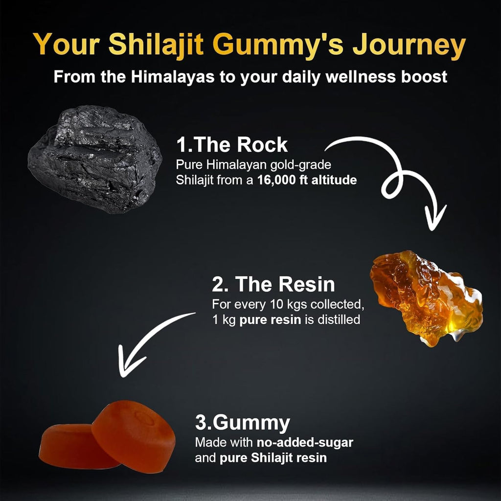 Vitacore Himalayan Shilajit Gummies for Men & Women, 85+ Trace Minerals & Fulvic Acid, Gluten-Free, 60 Gummies
