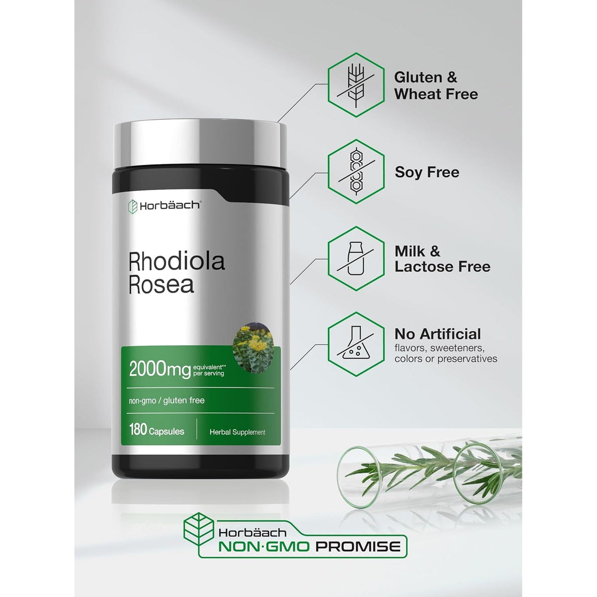 Horbäach Rhodiola Rosea Capsules | 180 Count | Non-Gmo, Gluten Free Supplement