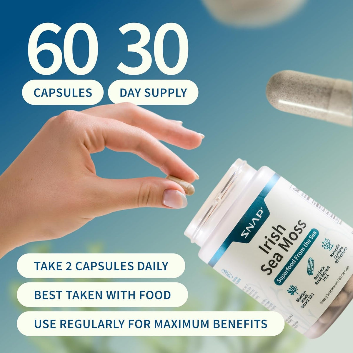 Snap Supplements Irish Sea Moss with Bladderwrack, Burdock Root & Iodine – Natural Sea Moss Supplement to Support Gut Health, Energy & Healthy-Looking Skin, 60 Vegan Capsules (1 Month Supply)