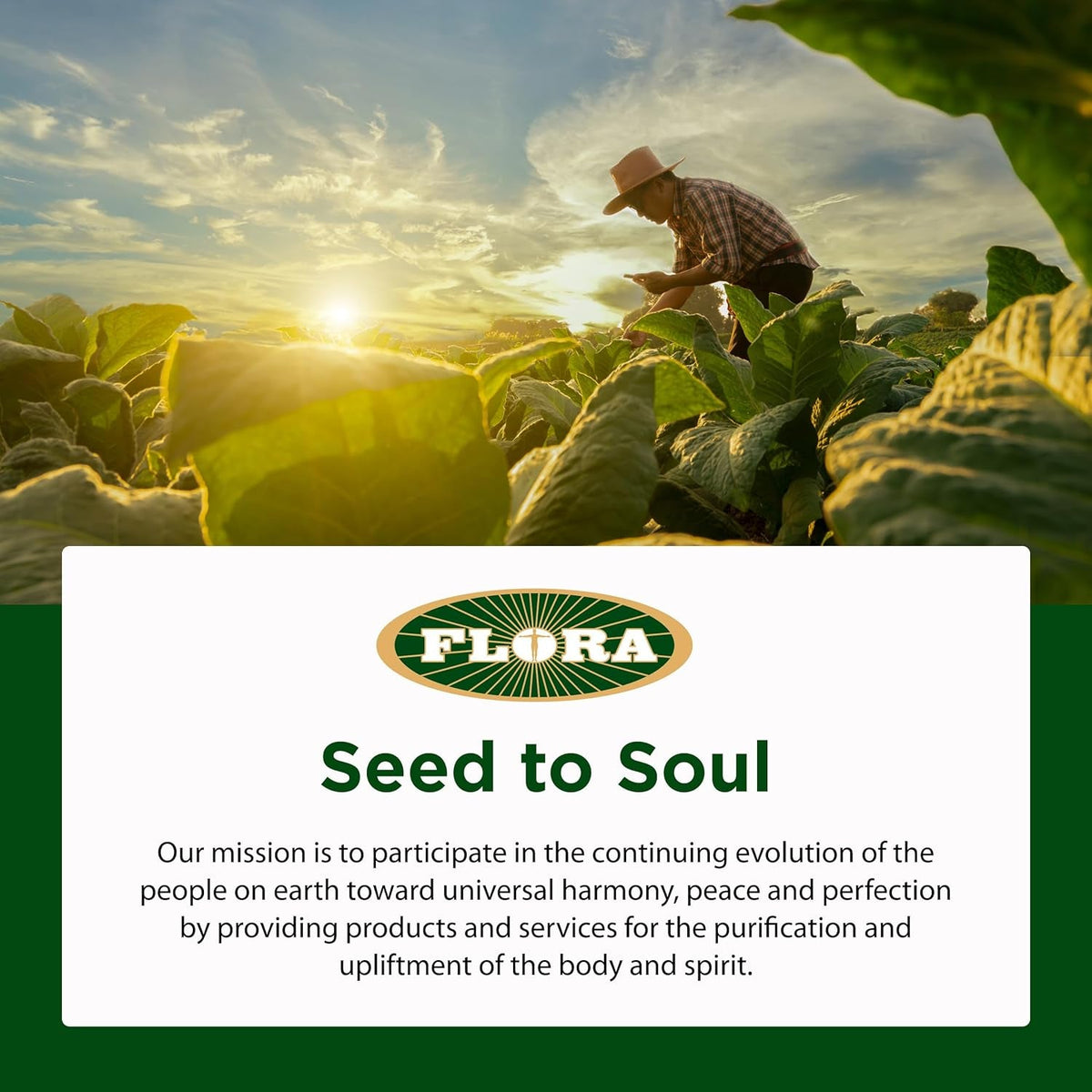 Flora - Udo'S Choice Omega 369 Oil Blend, Made with Organic Flax, Sesame & Sunflower Seed Oils, Plant-Based Vegan Omega Fatty Acids, Based on Ideal 2:1:1 Ratio, 17-Fl, Oz. Glass Bottle
