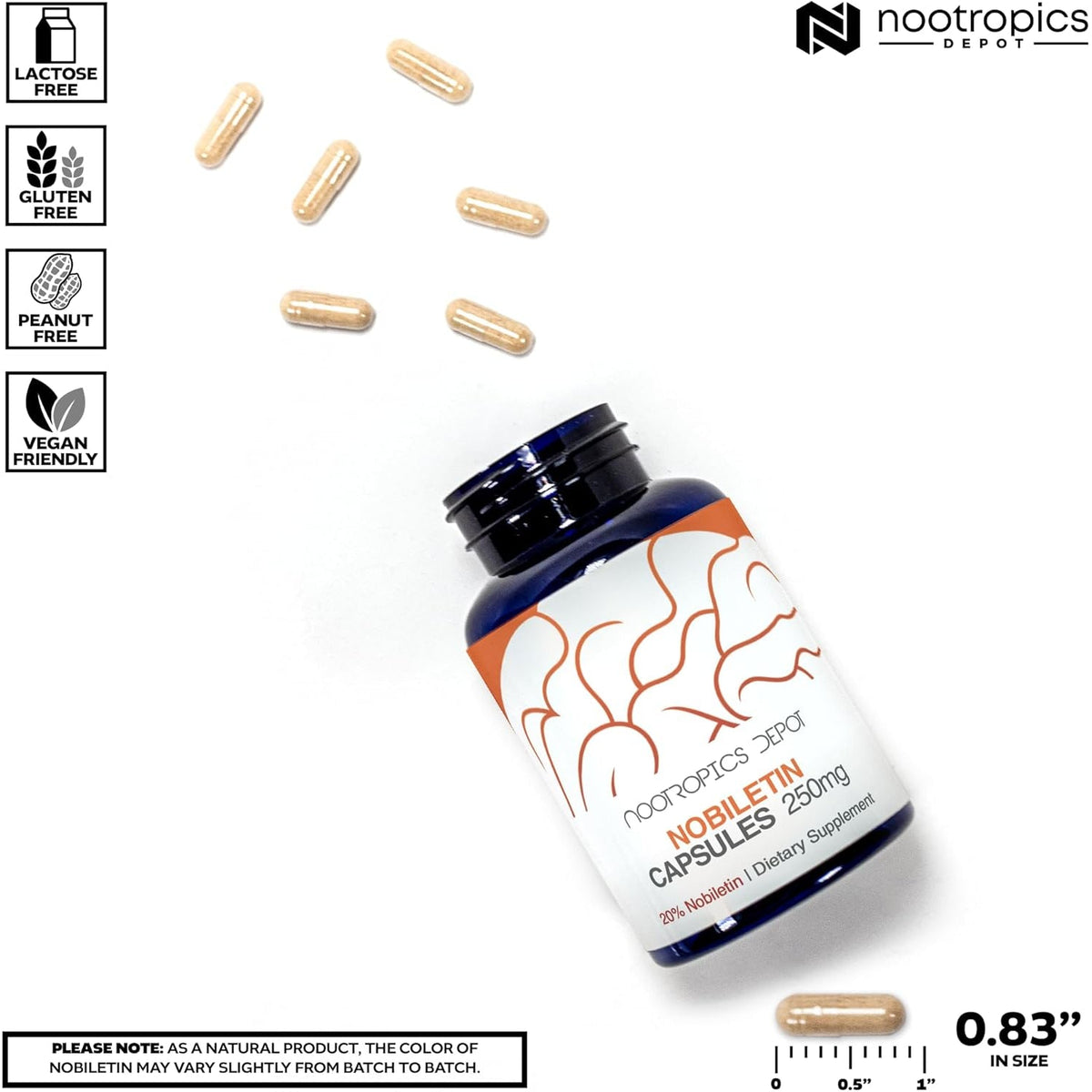 Nootropics Depot Nobiletin Capsules | 250Mg | 30 Count | 20% Extract | Citrus Aurantium | May Help Suppot Cognitive & Metabolic Function | May Help Promote Cardiovascular Function