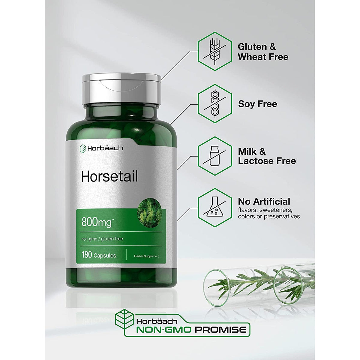 Horbäach Horsetail Supplement | 180 Capsules | Traditional Herbal Extract | Non-Gmo & Gluten Free