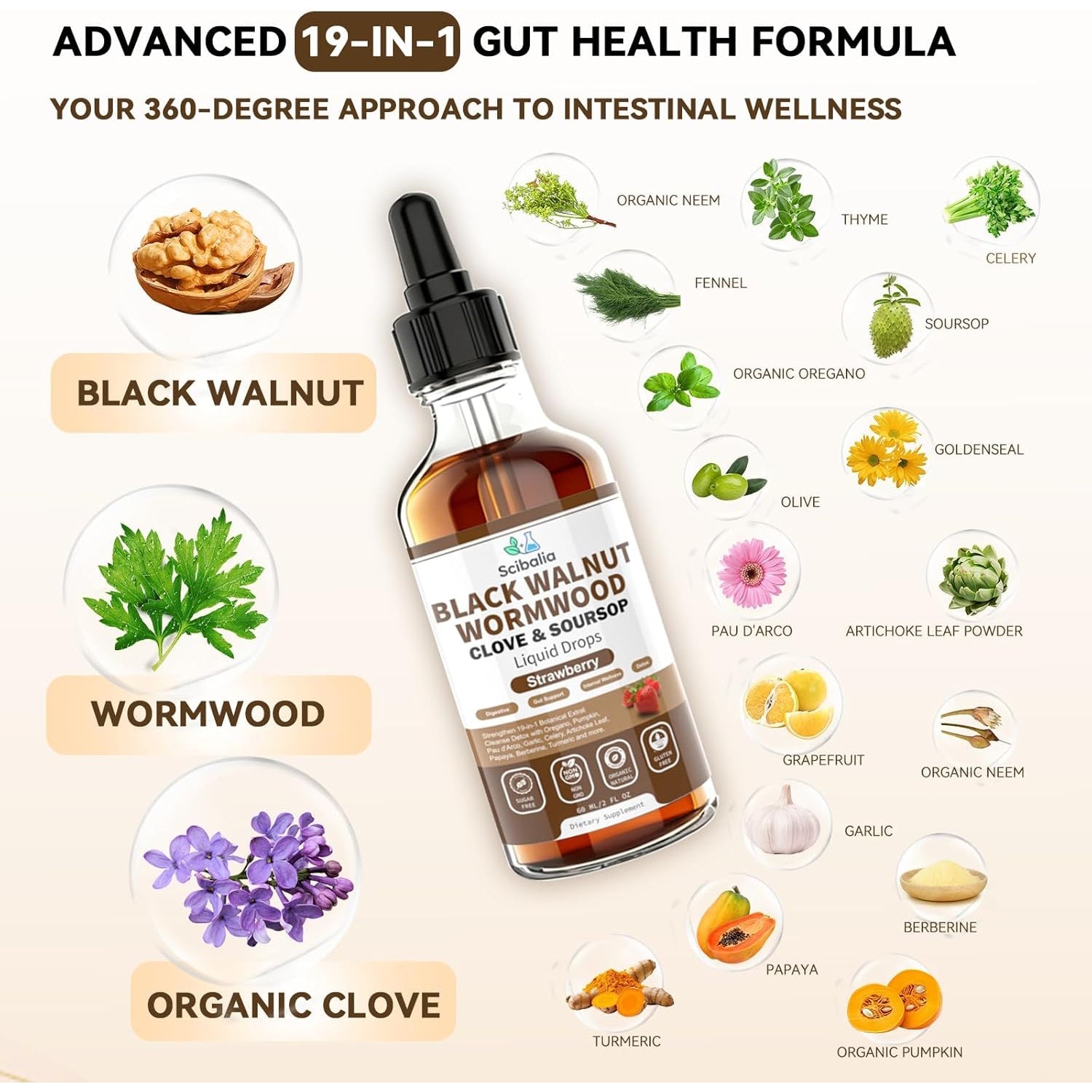 Wormwood Black Walnut Clove Cleanse for Human Drops, 19-In-1 Triple-Action Gut Detox & Digestive Wellness Organic Wormwood Tincture W. Soursop Pumpkin Garlic Oil of Oregano, Vegan