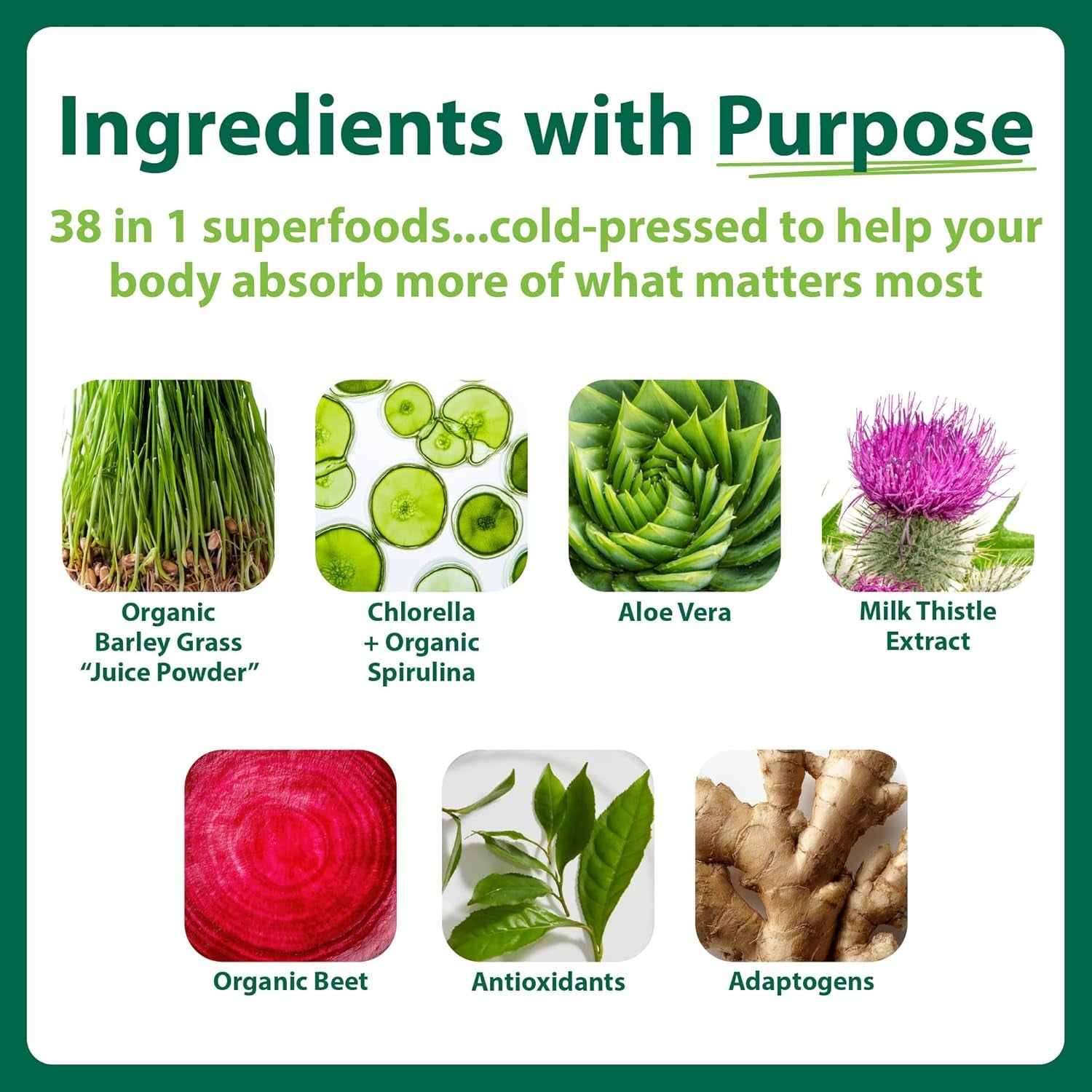 Macrolife Naturals Macro Greens Superfood Powder – 38 Superfoods with Probiotics, Digestive Enzymes & Adaptogens | Non GMO, Vegan, Gluten Free | 18B CFU | 10 Oz (30 Servings)
